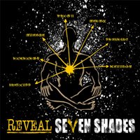 Warning - Reveal