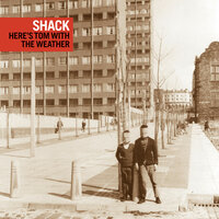 Byrds Turn to Stone - Shack
