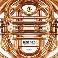 Misparim - Hadag Nahash, Tizmoret HaMahapeha