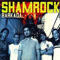 Haplos - SHAMROCK