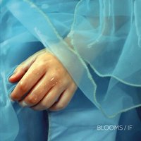 Lust - Blooms