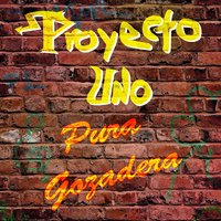 Buscandola - Proyecto Uno