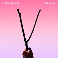 American - Stone Cold Fox
