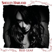 In the Dark - Shelley Harland