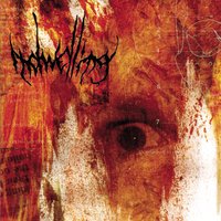 Wrath - Indwelling