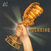 Happy Never Year - Pushking