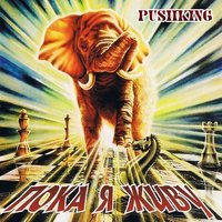 Город - Pushking