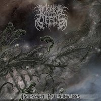 Incessant Hallucinations - Iniquitous Deeds