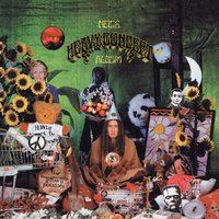 Hurdy Gurdy Man - Neil