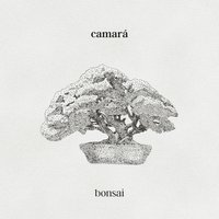Há Braço - Camara