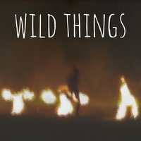 Wild Things - Catch Fire
