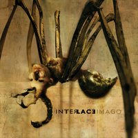 Conformity - Interlace