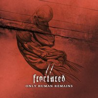 Between the Lines - Fractured