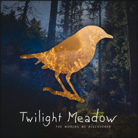 Drifting - Twilight Meadow