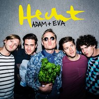 Fiji - Hecht