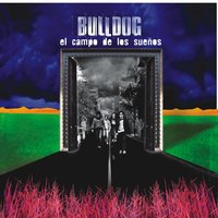 The Player - Bulldog