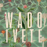 Amanheceu - WADO