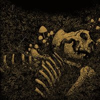 Slaves - Thrall
