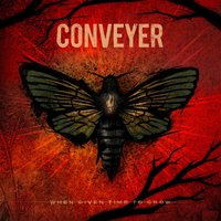 Cage - Conveyer
