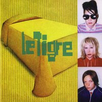 Deceptacon - Le Tigre