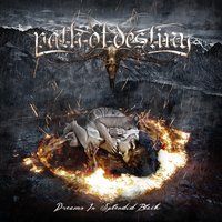 Within the Void - Path of Destiny