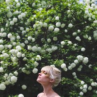 Start Over - Pink Feathers