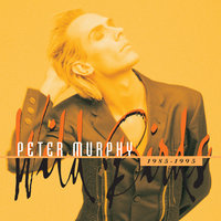Roll Call - Peter Murphy