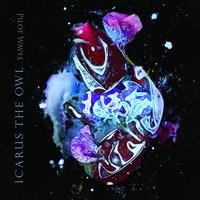 Pilot Waves - Icarus the Owl