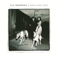 Perfect Fit - Van Morrison