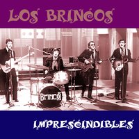 Nadie Te Quiere Yo - Los Brincos