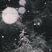 Ghosts Lay Eggs - Over the Voids...