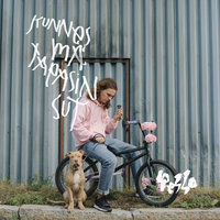 Saippuakupla - Pesso