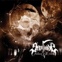 Within Darkness - Sophicide