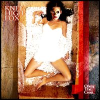 Snake - Knee High Fox