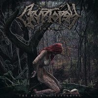 Halothane Glow - Cryptopsy