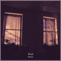 Camera Lens - Petal