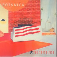Limerence - Botanica