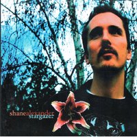 Shipwrecked - Shane Alexander