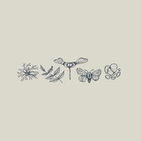 Willow - Justin Nozuka