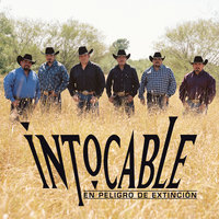 Decidimos (Bien O Mal) - Intocable