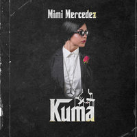 Previše - Mimi Mercedez