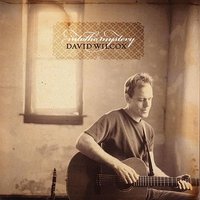 Rise - David Wilcox