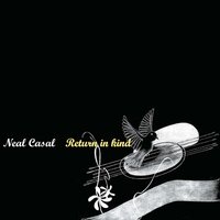 It's Not Enough - Neal Casal