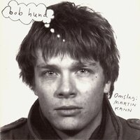 Förträngda problem - Bob Hund