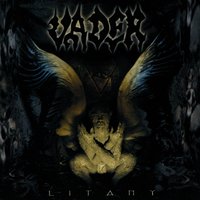 Wings - Vader