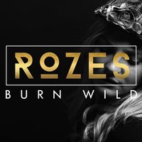 Forever - ROZES