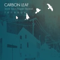 International Airport - Carbon Leaf
