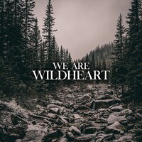 We Are - Wildheart