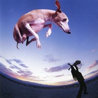 Get It - Paul Gilbert
