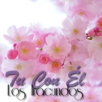 La Lluvia Caerá - Los Iracundos